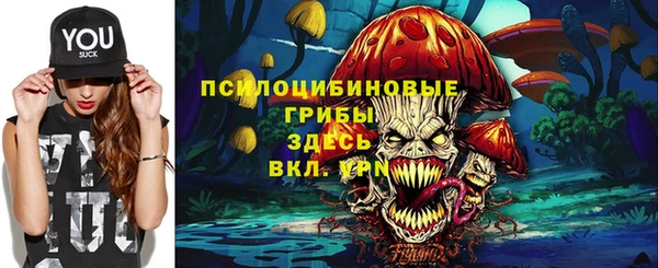 ПСИЛОЦИБИНОВЫЕ ГРИБЫ Волоколамск