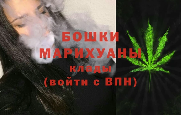 индика Верхний Тагил
