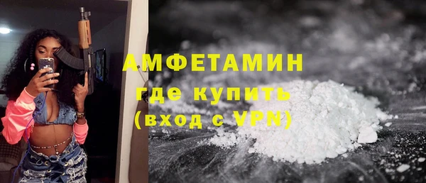 индика Верхний Тагил